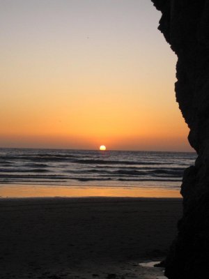 IMG_2505.jpg