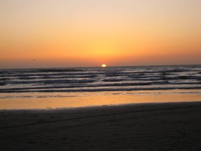 IMG_2507.jpg