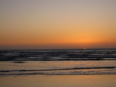 IMG_2511.jpg