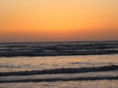 IMG_2513.jpg