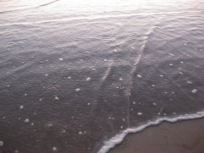 IMG_2514.jpg