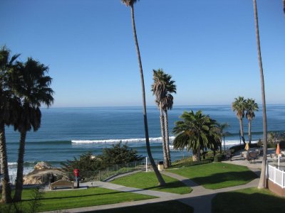 IMG_2560.jpg