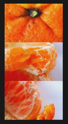 Sweet and usually seedless, the mandarin orange or tangerine is a traditional gift at
Chinese Lunar New Year, symbolizing wealth, good luck and abundant happiness.
This is because in Chinese, the word orange sounds like ji, which means good luck.
People present oranges to express their respects and good wishes to their parents, friends and relatives for the coming year.