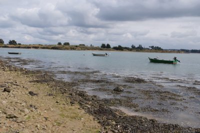 Saint Cado , Morbihan