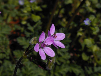 g3/58/6258/3/14799166.smallDSCN4430a.jpg