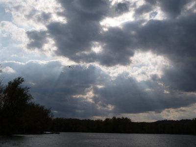 small-PA215744.jpg