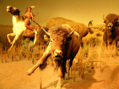 Milwaukee Public Museum