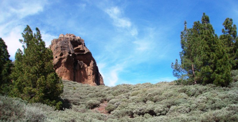 Roque del Saucillo