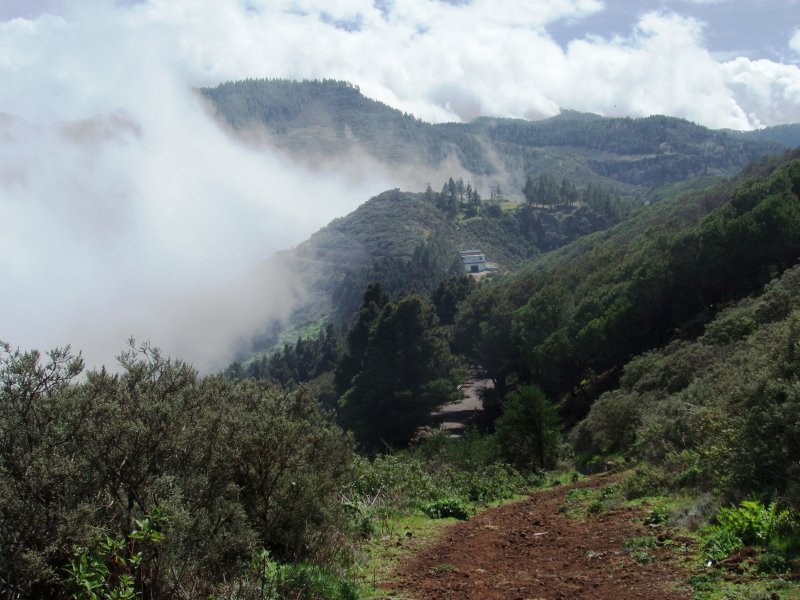 Cloud covered hills