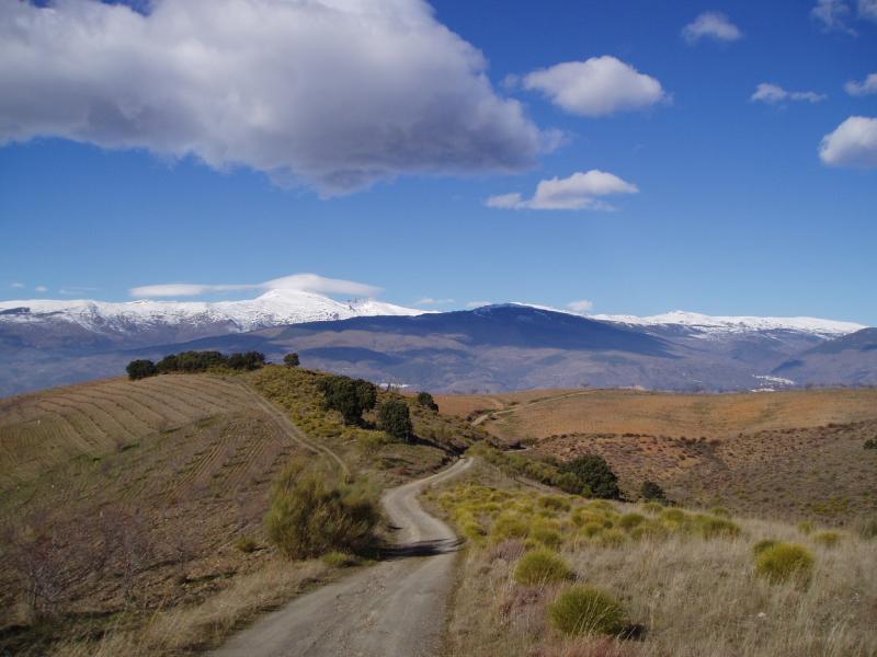 Sierra Nevada outlook