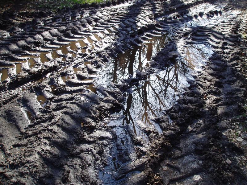 Muddy ruts