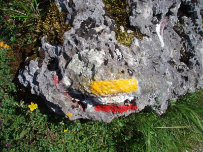 Trail mark on boulder