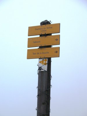 Signpost in the mist