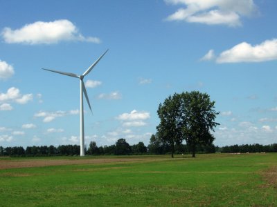 Wind turbine and trees