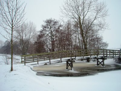 Footbridge in the snow