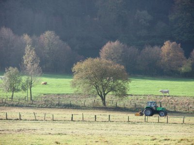 Tractor in the fields