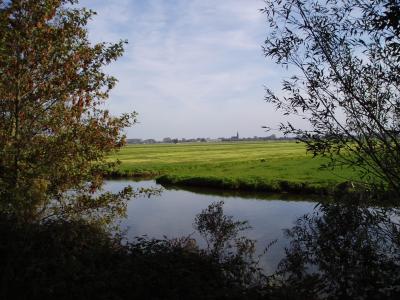 Overlooking the polder