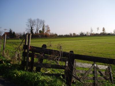 Fencing at border of meadow
