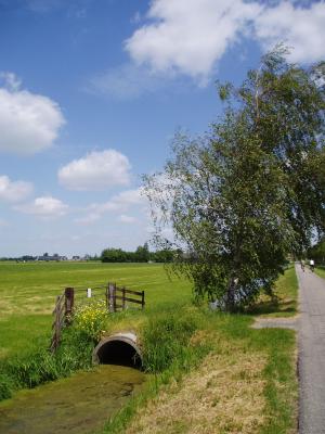 Spring in the polder
