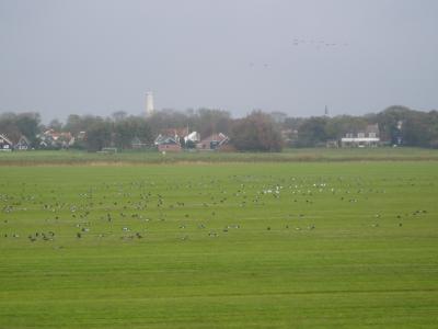 View on Schiermonnikoog village