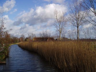 View at Zevender, a canalized brook