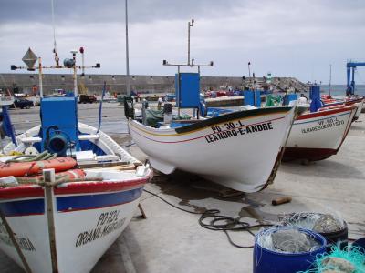Fishing boats in harbour
