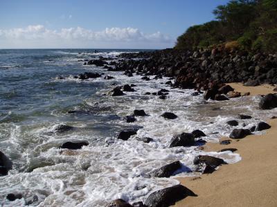 Sand, rocks and shrubs