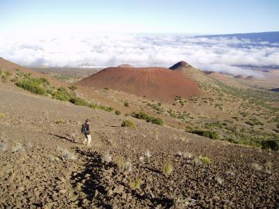 Crater Alley