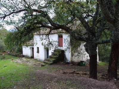 Old farm-house