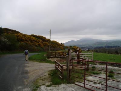 Irish fencing