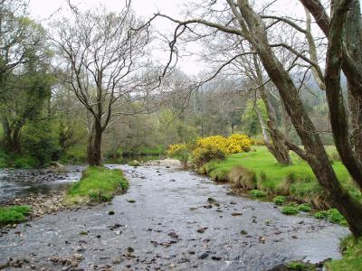 Rippling river