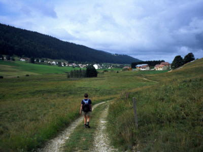 Cart track to the village