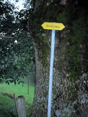 Small signpost