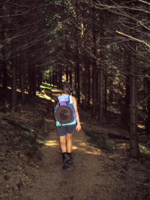 Dark forest path