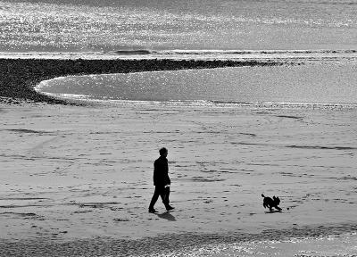 g3/58/638458/3/58181473.DSC_0976.jpg