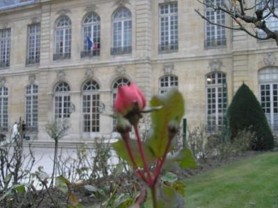 Saturday February 4th ~ Musee Rodin & Surrounds