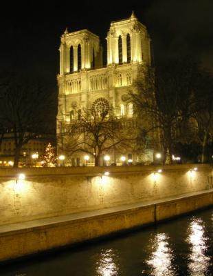 Notre Dame from le Petit Pont