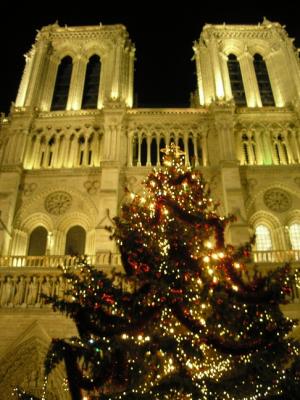 Notre Dame & her Christmas tree