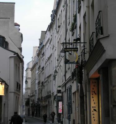 La Galerie du Chat - Rue de Bievre