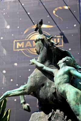 Naked man, with a pigeon, a horse, a stone, a cactus and a martini