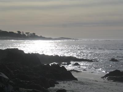 Californian beach light