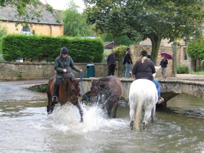 Horses