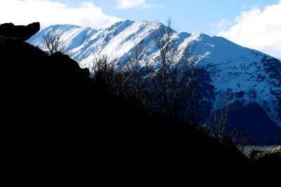 g3/58/694458/3/102291937.YnatvyAp.jpg