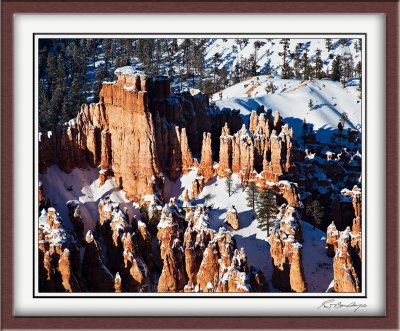 More From Bryce Point