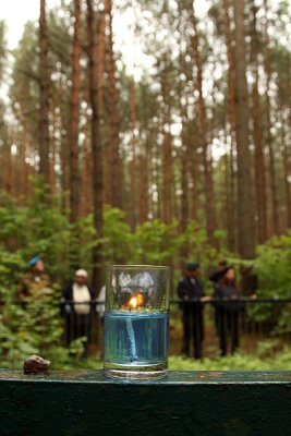Lopuchova forest 2.jpg