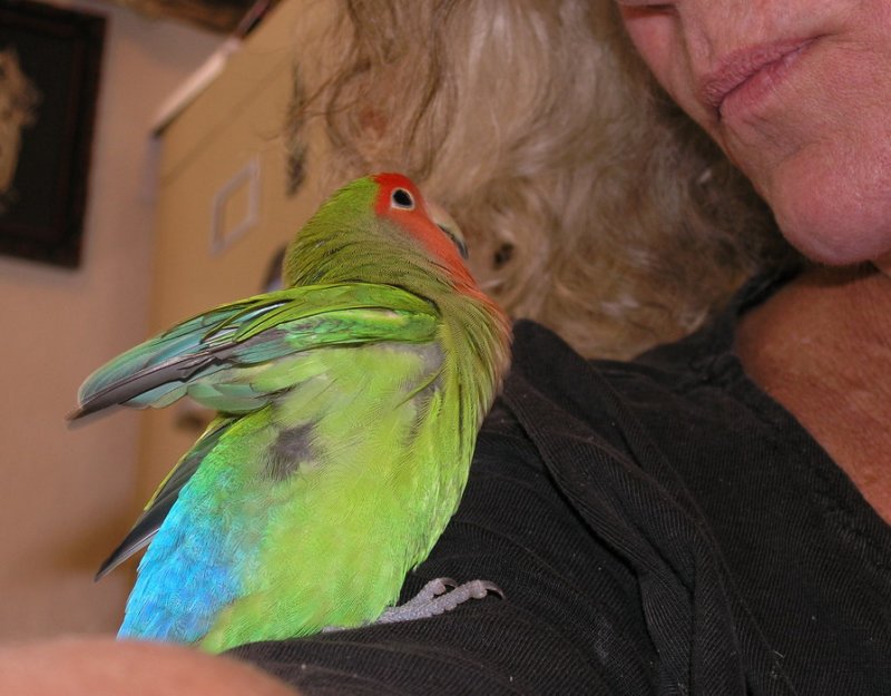  Peachy looking up at Mom