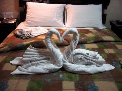 Arenal Springs Hotel swan towel sculpture  2.JPG