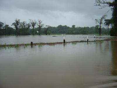 Boat to Tortuguera 16fences underwater.JPG