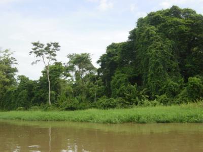 Tortuguera return Boat 012.jpg