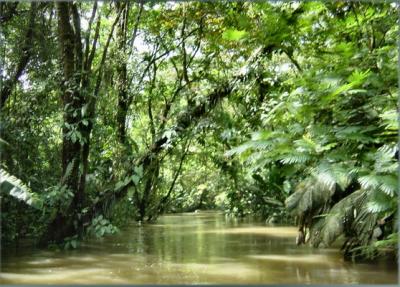 Tortuguera Animal Cruises 29.JPG